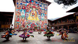 Festival Tour