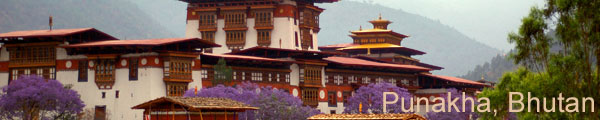 Punakha Blossoms in May