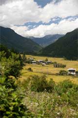 Bhutan Land