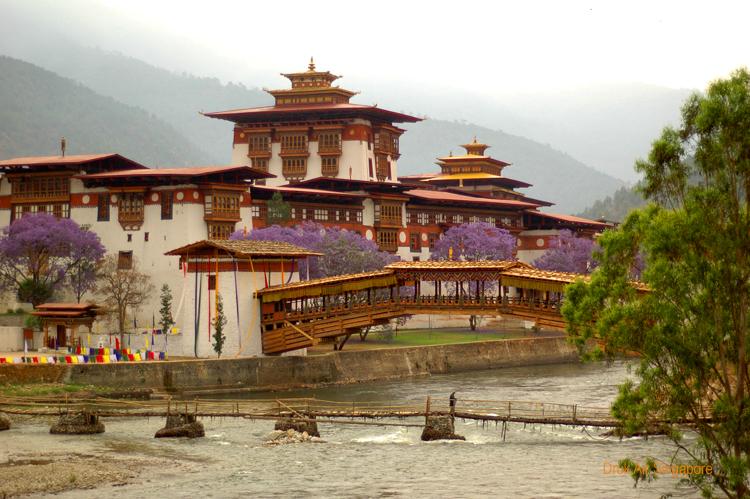 Bhutan Spring
